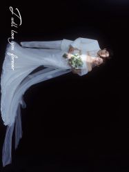 -北遇映画PHOTO GRAPHY STUDIO
