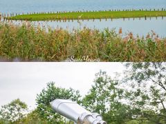 -华侨城湿地公园