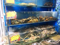 水产区-蚝专家(北滘店)