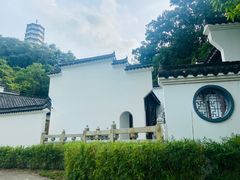 -深圳国际园林花卉博览园