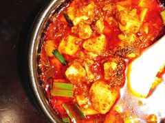 -陈麻婆豆腐总店