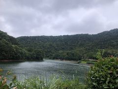 -桃花岭景区