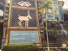 -海南槟榔谷黎苗文化旅游区