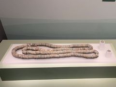 -中国京杭大运河博物馆