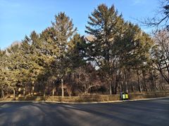 -长春市南湖公园