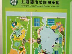 -上海都市菜园