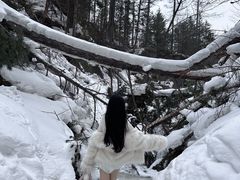 -峡谷浮石林景区