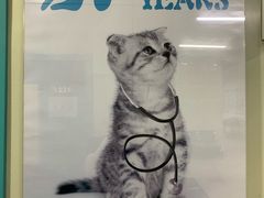 -北京观赏动物医院·24小时大型综合·猫专科·异宠专科
