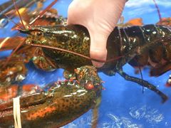 波士顿龙虾-七鲜超市(万向城店)