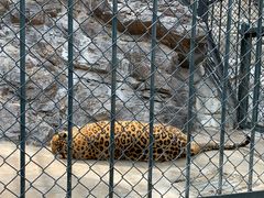 -大连森林动物园