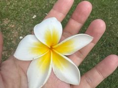 -三亚亚龙湾雅高美爵酒店