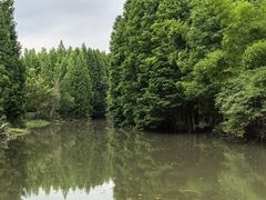 -桤木河湿地公园
