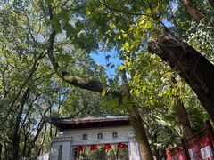 -岳麓山风景名胜区