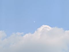 -两河城市森林公园
