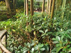 -成都杜甫草堂博物馆