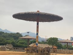 -杭州野生动物世界