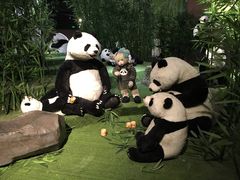 -成都泰迪熊博物馆