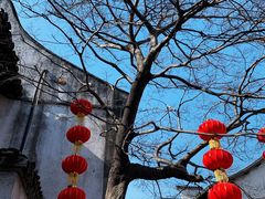 -新万鑫银丝面·非遗无锡味(惠山古镇店)