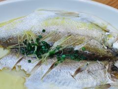 -品鲜村农家菜·阳澄湖大闸蟹(总店)