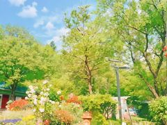 -北岭山森林公园
