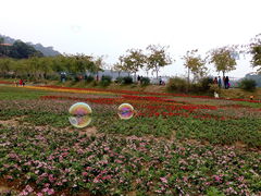 -清溪大王山森林公园