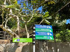 -石排湾郊野公园