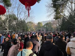 -人民公园-相亲角