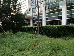 -YAFEE雅菲·粤菜·湘菜·融合菜(魏公村店)