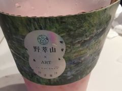 -野萃山·潮汕厚果汁(十亩地店)