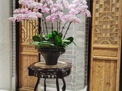 -龙悦湾酒家·八阵鱼生·渔人码头店