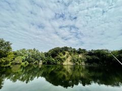 -王借岗森林公园