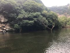 -少华山国家森林公园