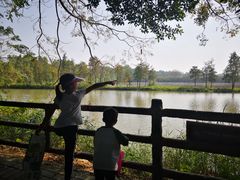 -大湾区中央湿地公园