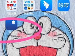 -Apple零售店(华贸购物中心店)