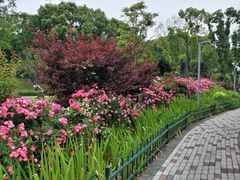 -宁波儿童公园(鄞州区)