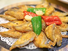 -有腥气私房菜·寻味顺德