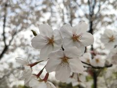 -公益图书馆(江南大学店)