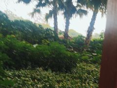 -璟象酒店-爱丽坊景观餐厅