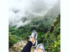 -霍顿平原国家公园