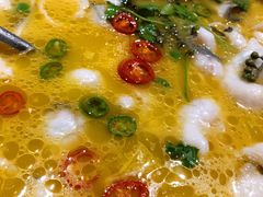 -蜀腾川·火锅鱼.烤鱼(新世界城店)