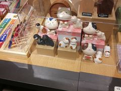 -猫的天空之城概念书店(苏州诚品店)