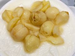 莲子双皮奶冻-义顺牛奶公司(新马路老店)
