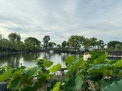 -无锡蠡湖国家湿地公园-蠡园