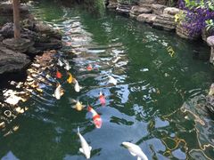 -聚福宝合苑食府(南头镇店)