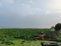 -莲花岛景区