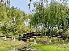 -滨湖塘西河公园