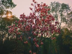-成都杜甫草堂博物馆