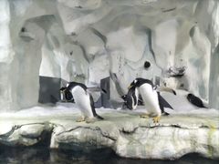 -南昌海洋公园