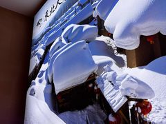 -东北人家铁锅炖(水岸帝景店)