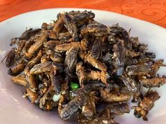 -红炎炎农家菜老字号(金水台店)